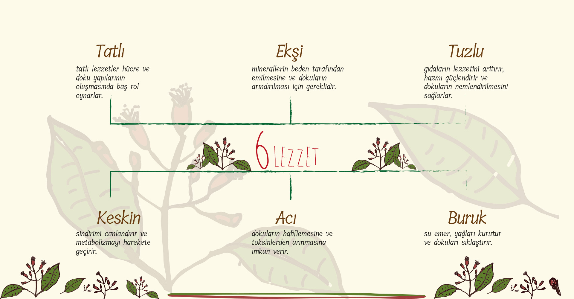 6 Lezzet