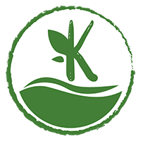 Kapha