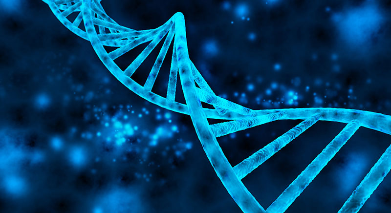 DNA